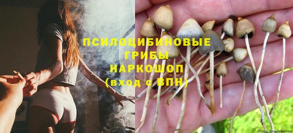 spice Баксан