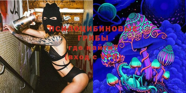 spice Баксан