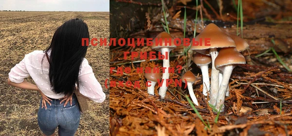 spice Баксан